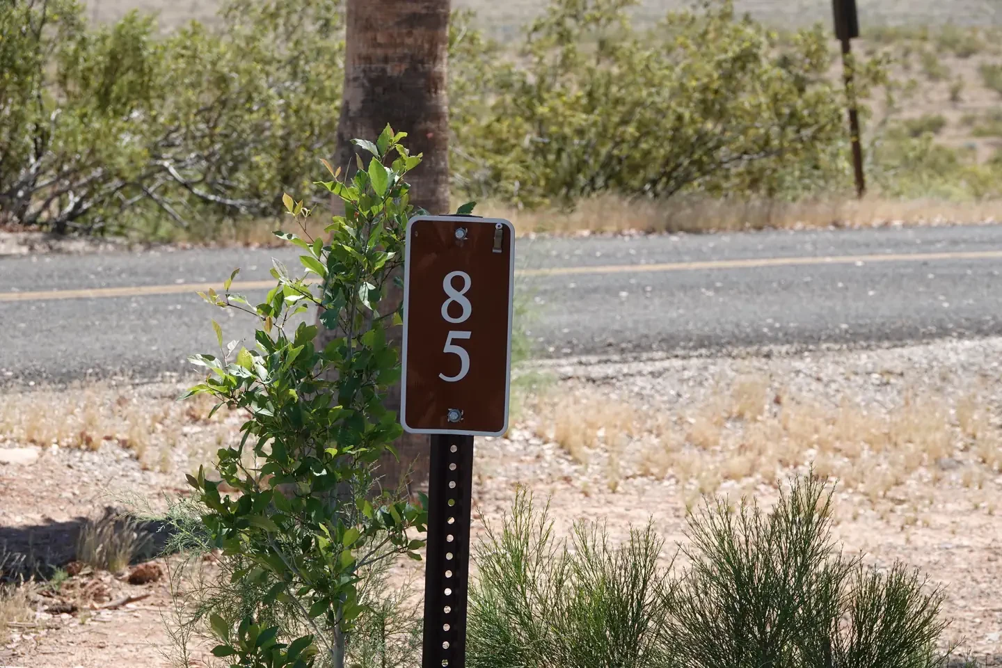 Site 85