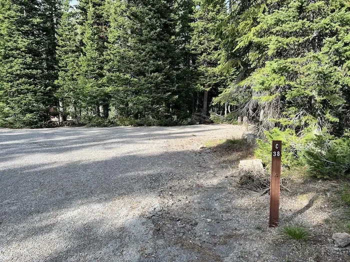 Lewis Lake site #38