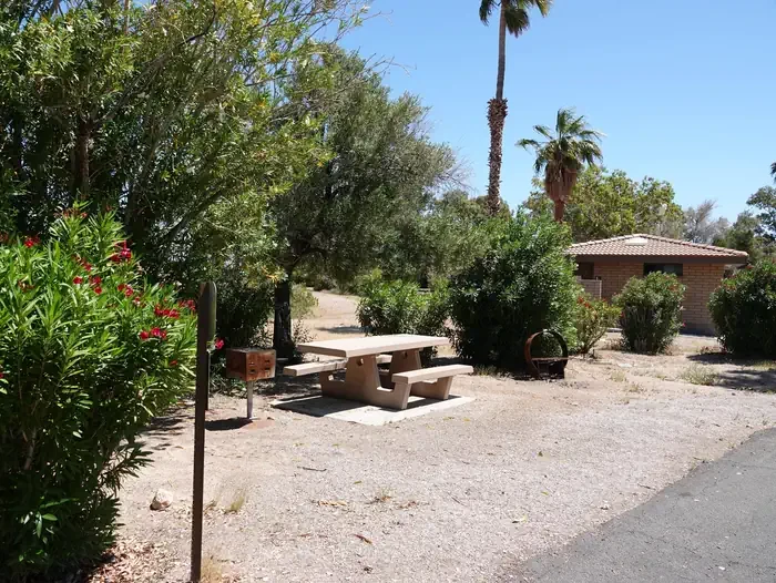 Site 38