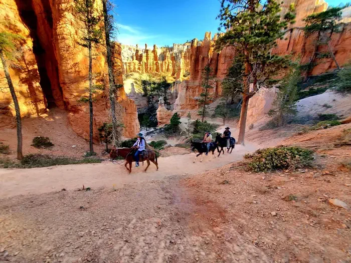 Bryce Canyon National Park Private Horse Reservations
