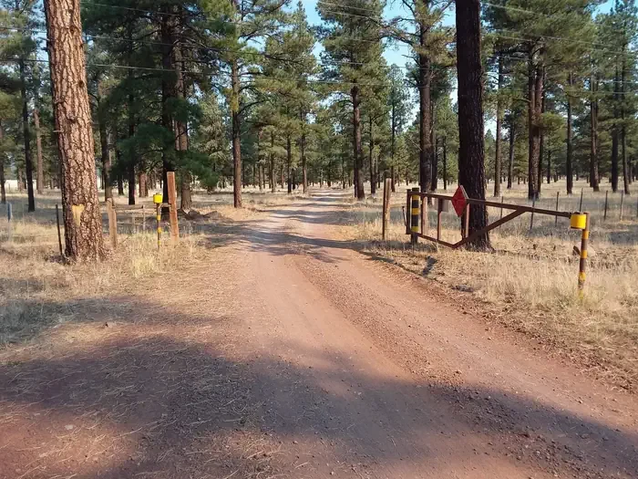 Benny Creek Group Area