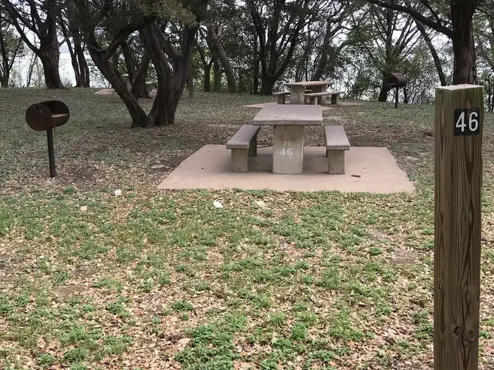 46