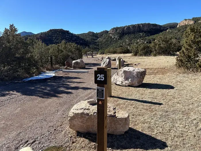 25