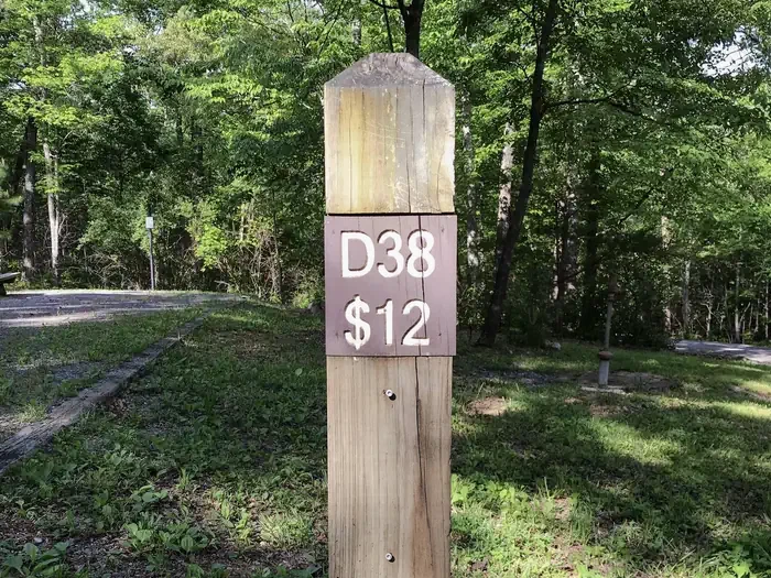38