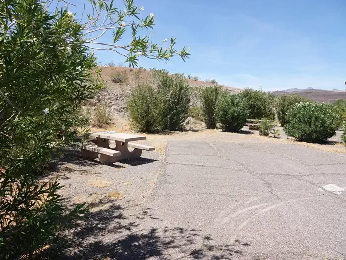 Site 13
