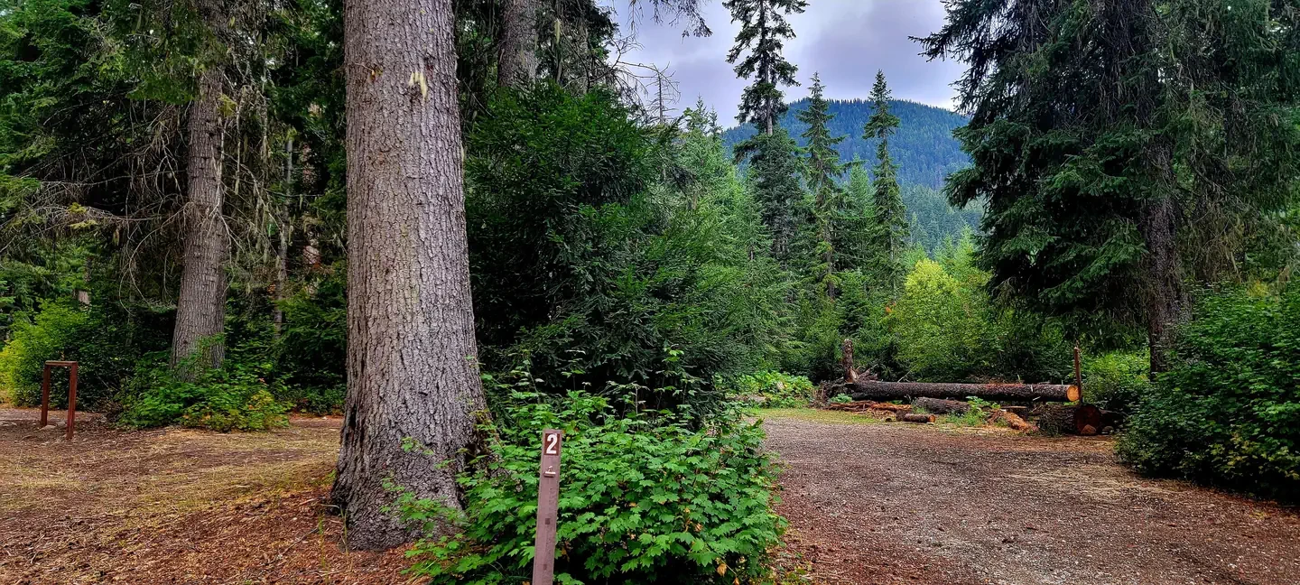 Blackpine CR Horsecamp