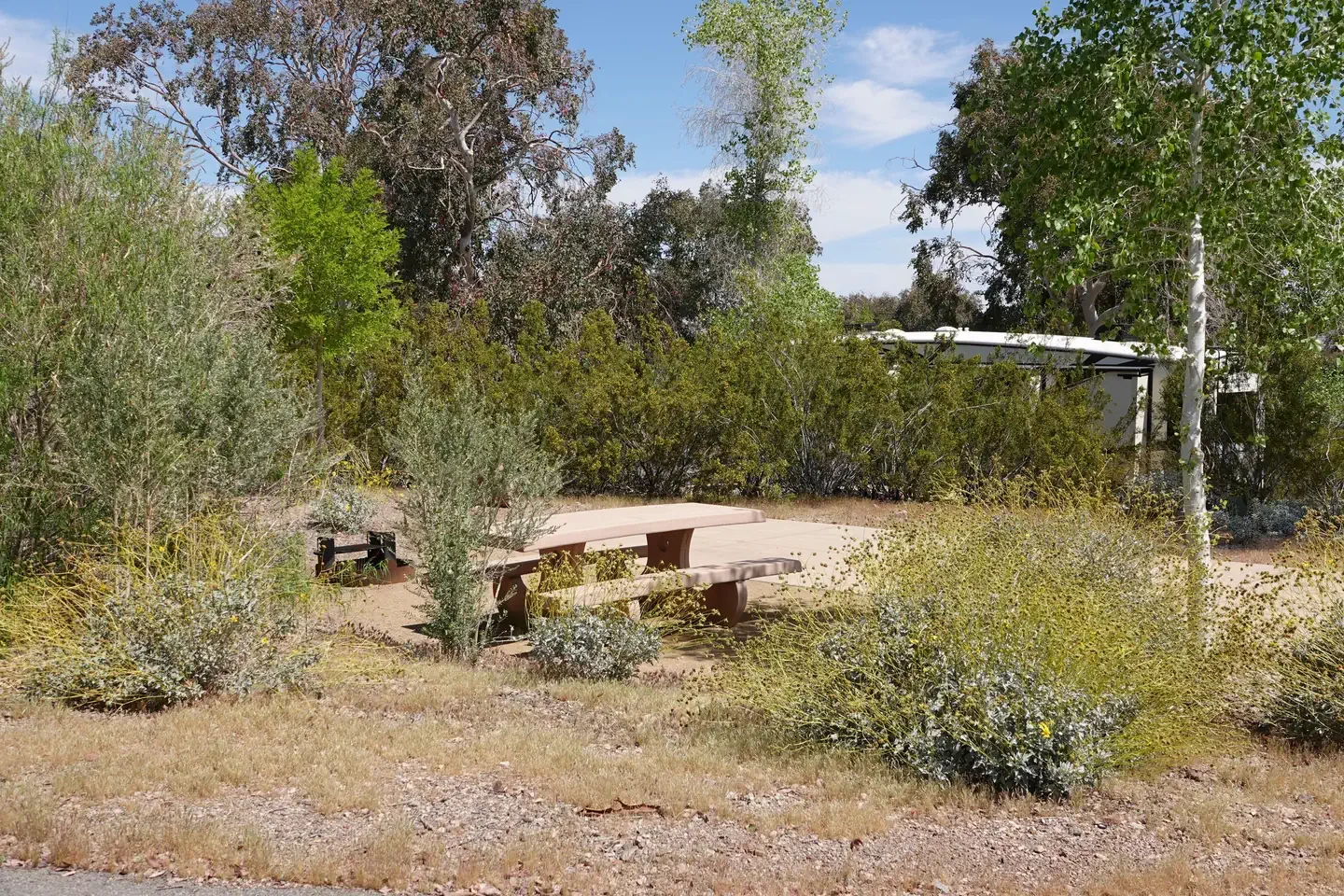 Site 12