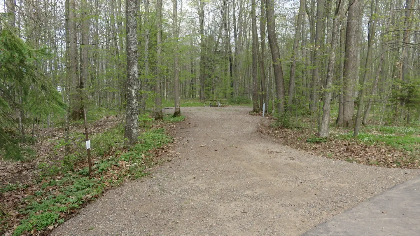 S35