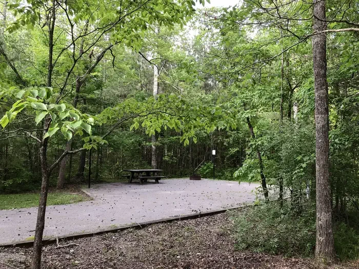 50