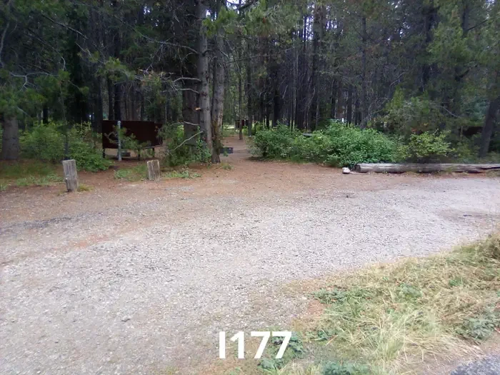 177