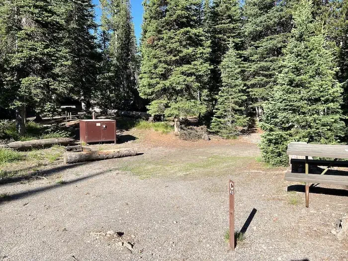 Lewis Lake site #41