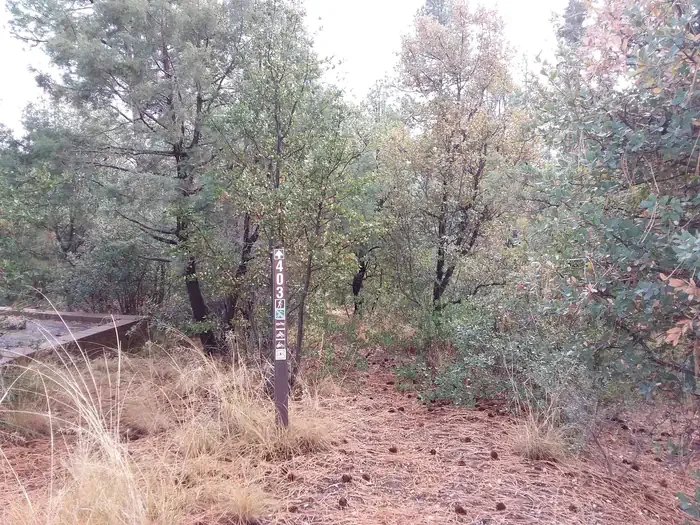Lynx Campground