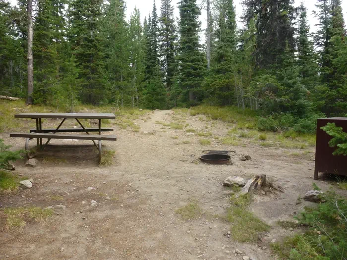 Lewis Lake site # 1