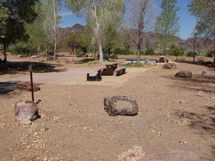 Site 100