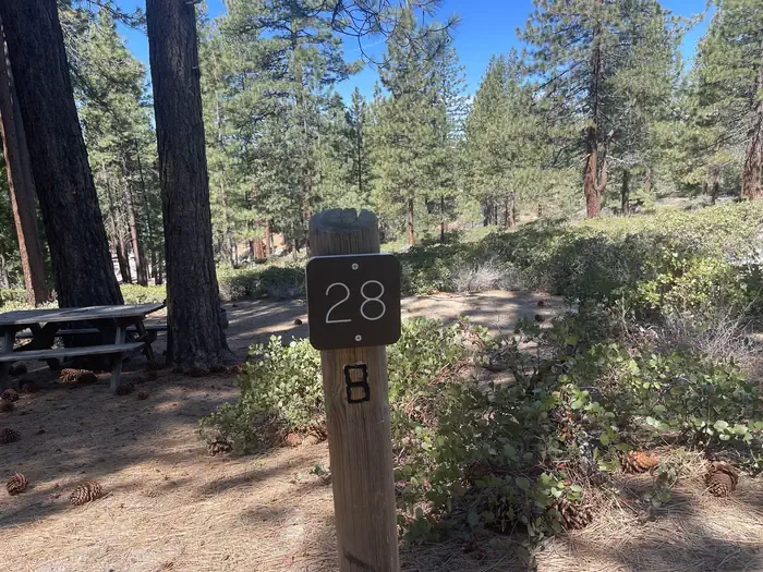 28