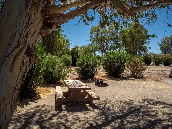 Site 31