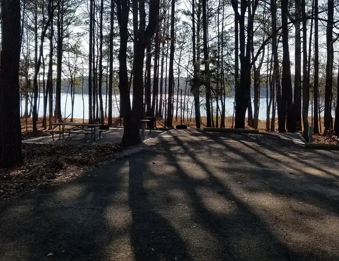 101