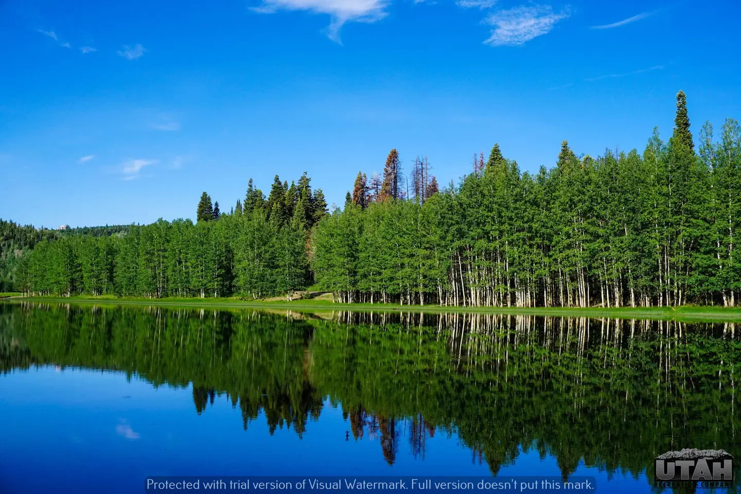 Payson Lakes
