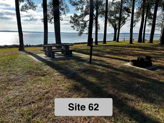 62