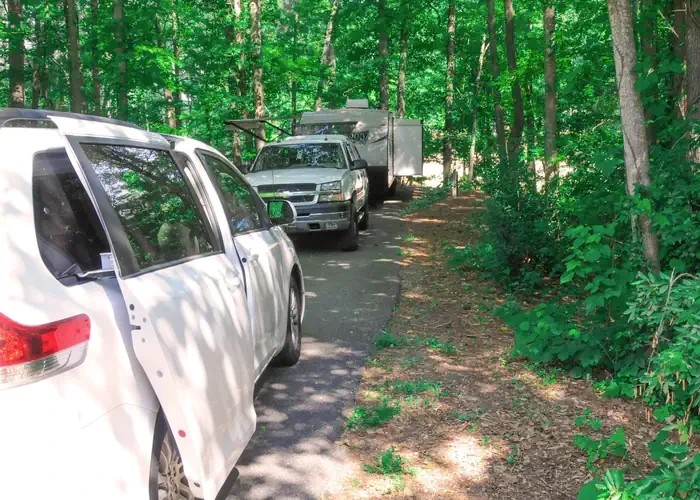 49