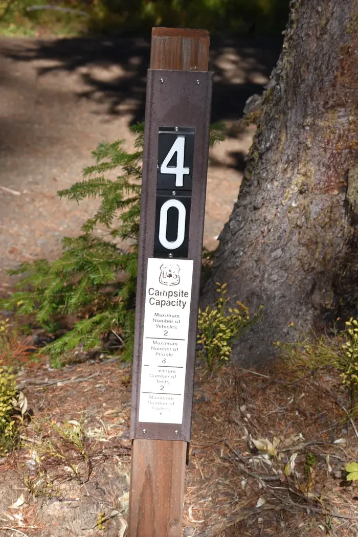40