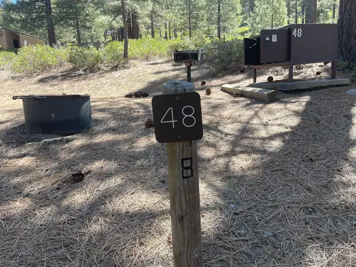 48