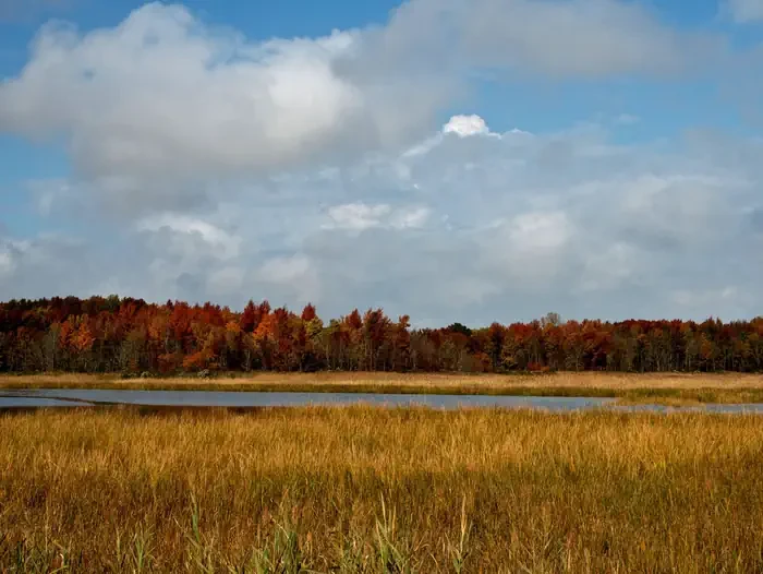 Bombay Hook National Wildlife Refuge