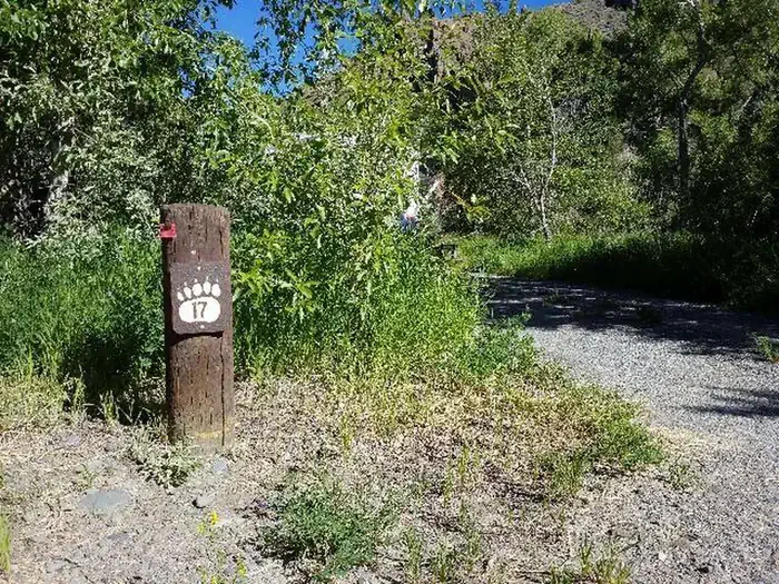 17