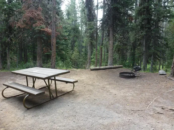 Lewis Lake site #69