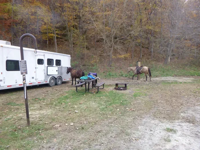 34 - Horse Site