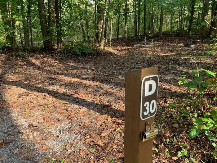 D-30
