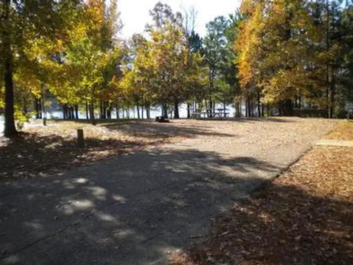 Beaver Dam Campground (Kisatchie National Forest, LA)