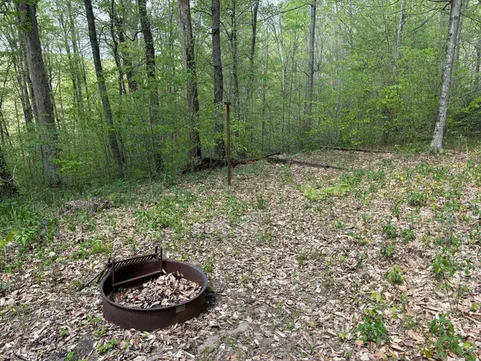 Sal Hollow