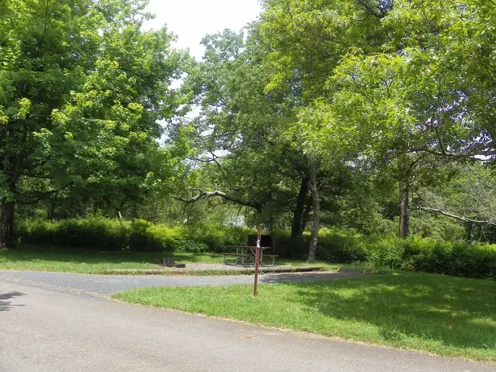 A081