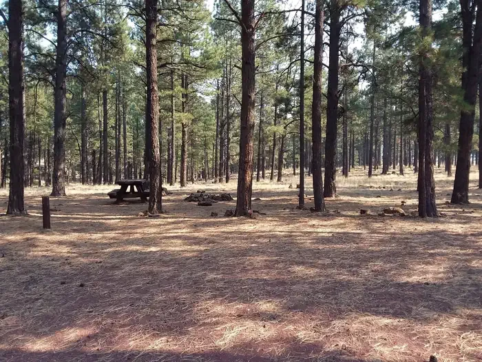 Benny Creek Group Area