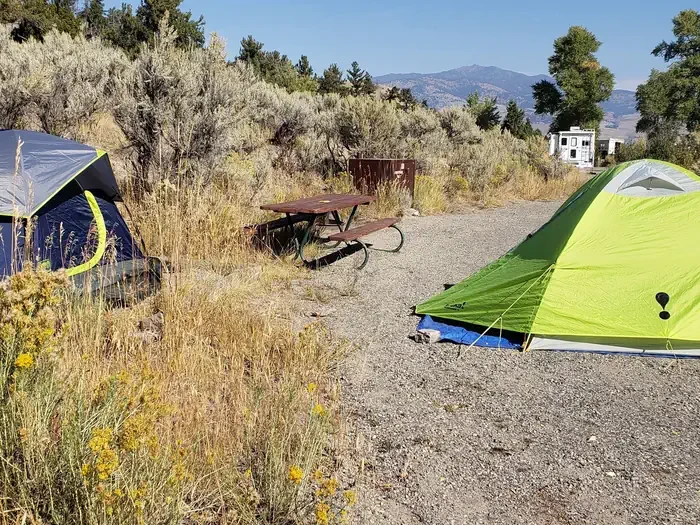Mammoth site #2