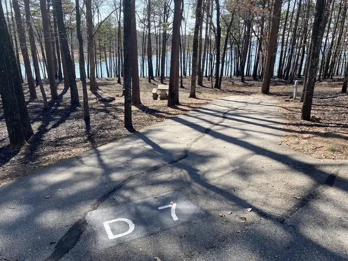 D07