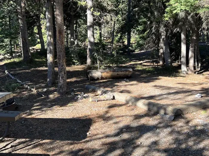 Lewis Lake site #2