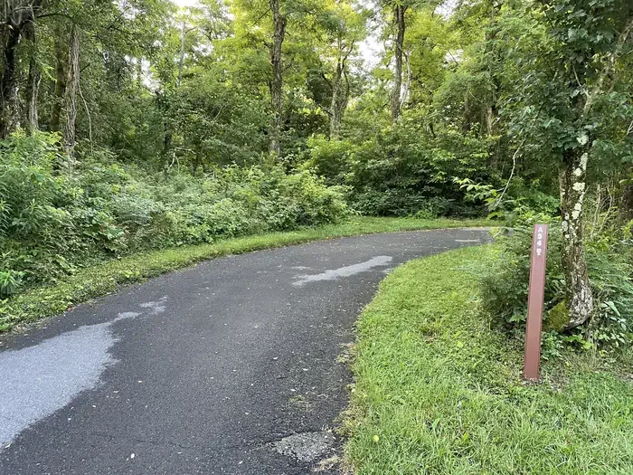 A054