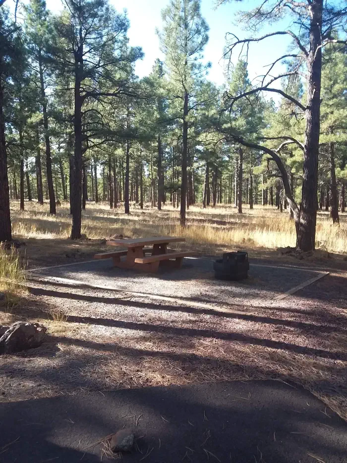 Kaibab Lake Sites and Group Areas