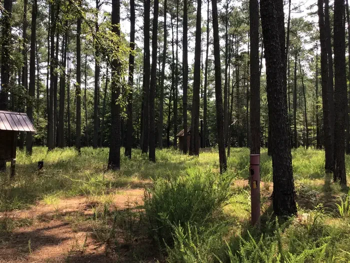 Poulous Group Campground