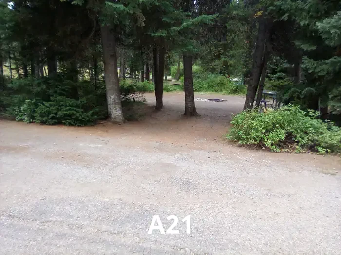 21