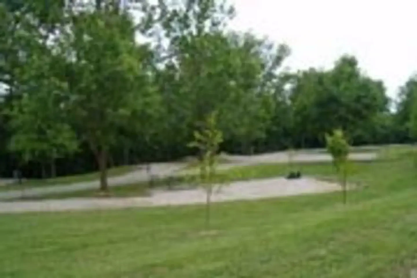 Laurel Branch