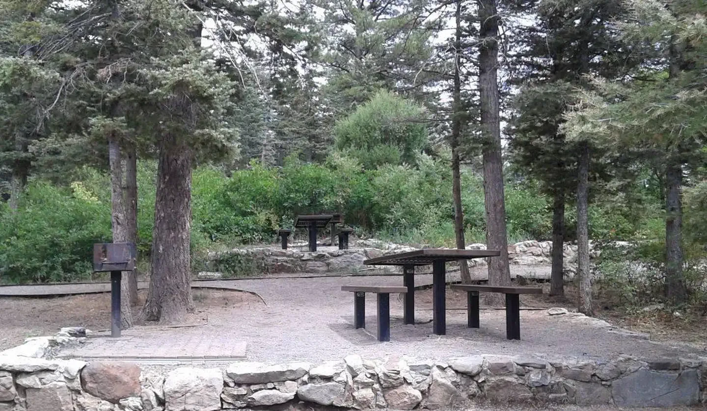 Balsam Glade Picnic Site