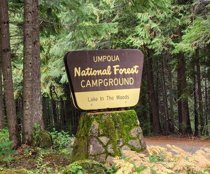 Lake In The Woods Campground