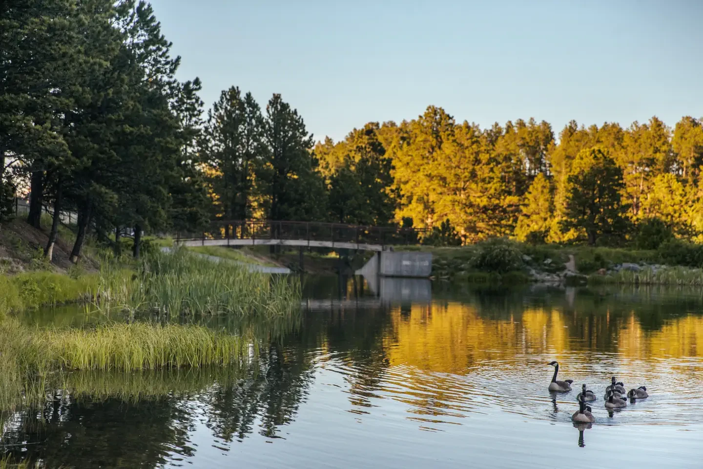 Roubaix Lake