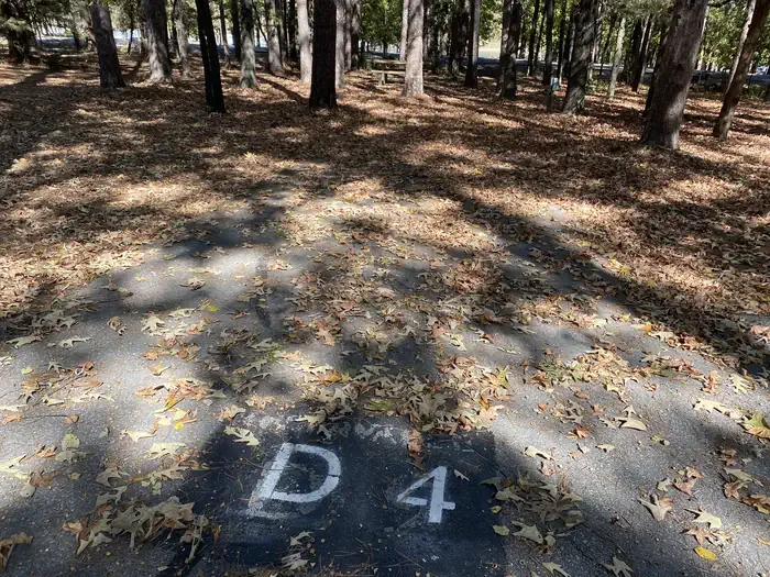 D04