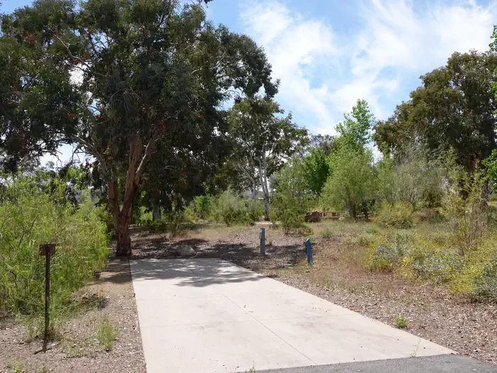Site 36