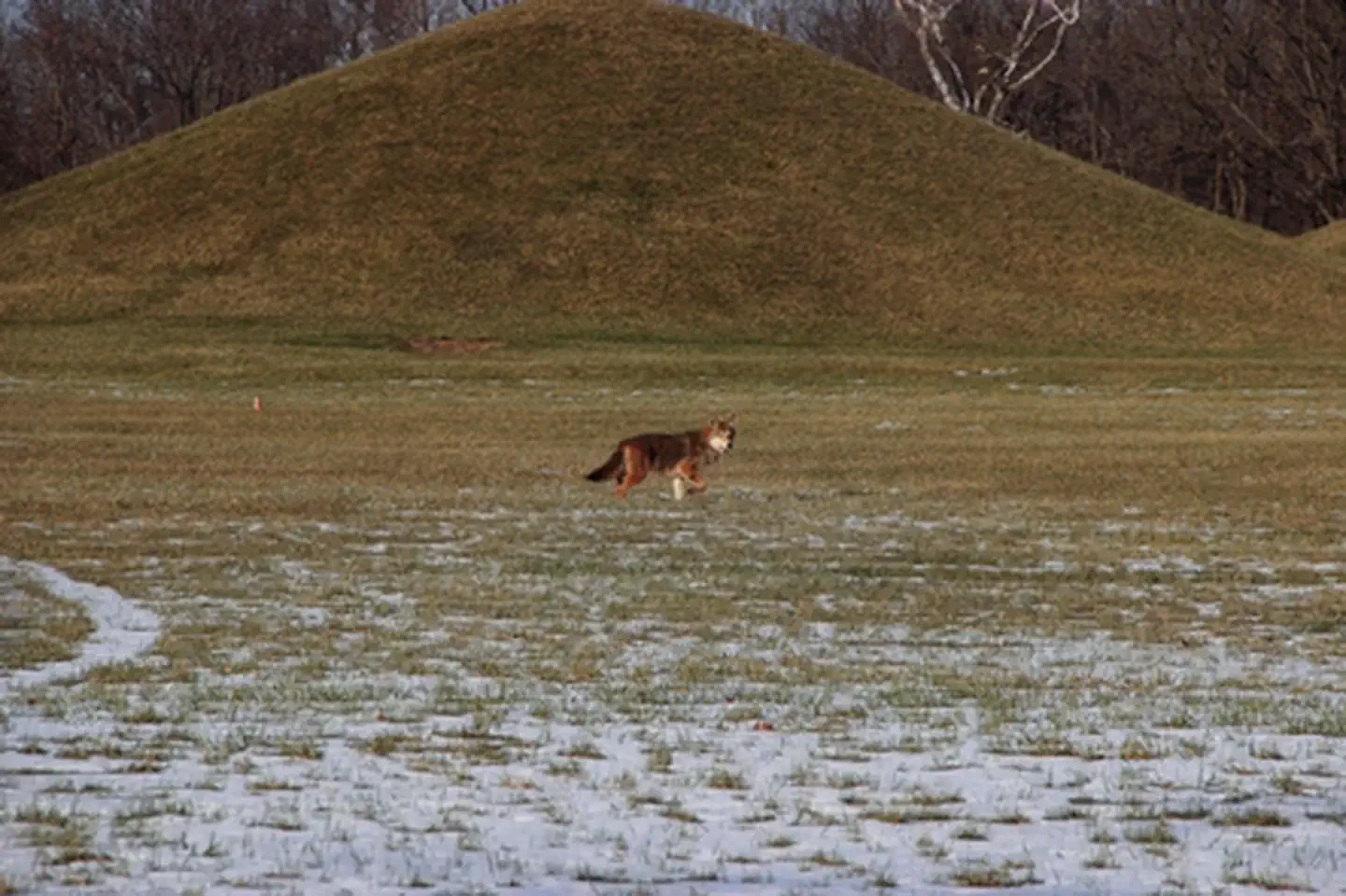 Hopewell Culture National Historical Park