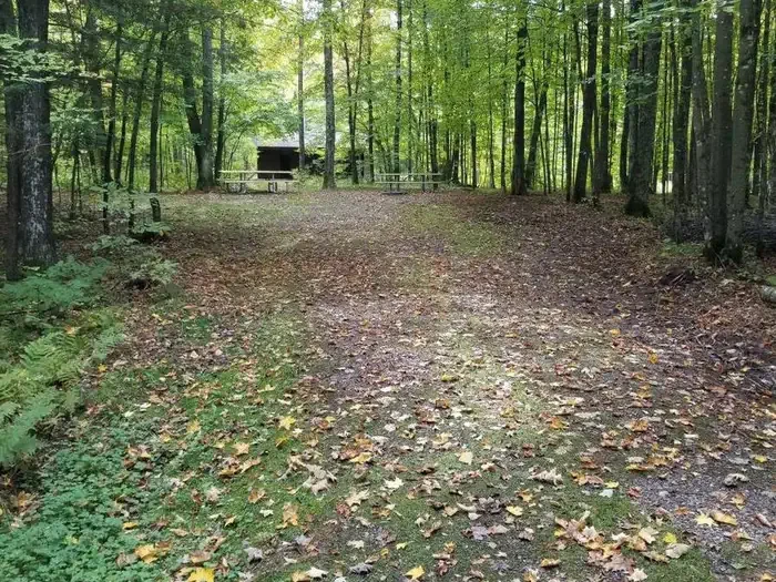 S60